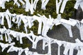 Kyoto, Japan Ã¢â¬â Charms of paper fortune on a line in a temple. Omikuji prophecies